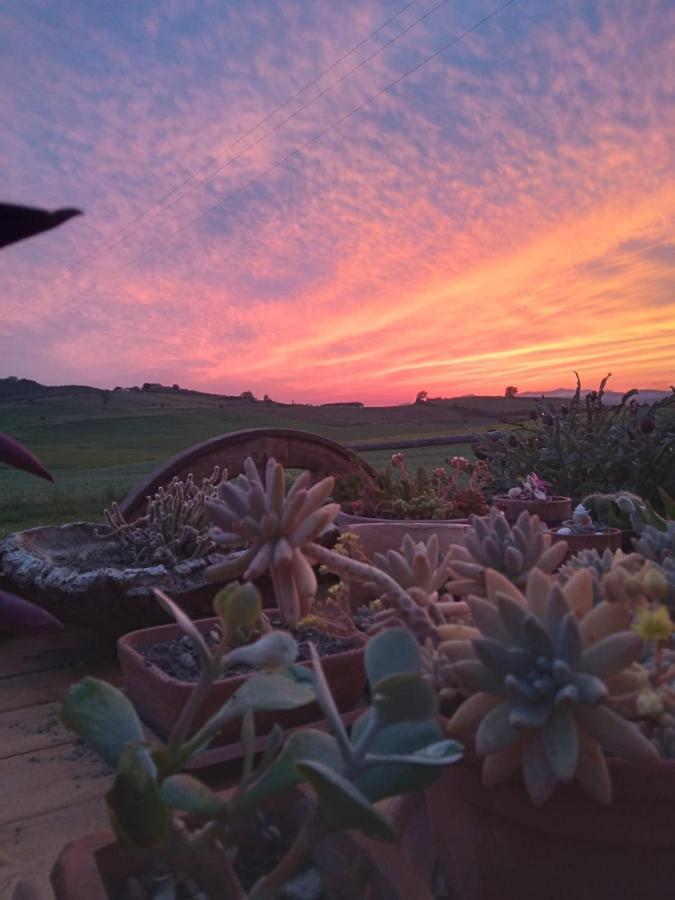 Agriturismo Enjoy Sunset Cinigiano Exterior foto